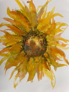 Debbie, Sunflower, watercolour.jpg